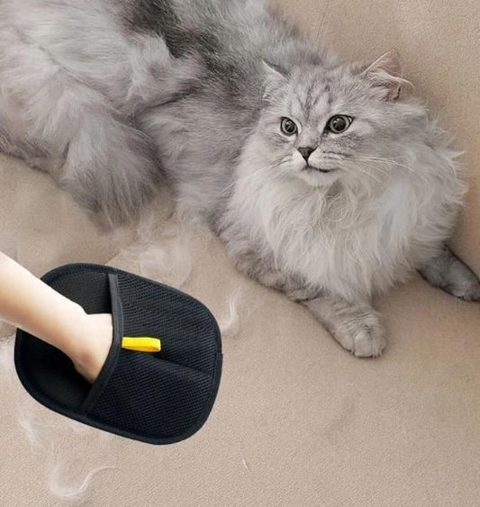 Pet Hair Removal Gloves 🐾